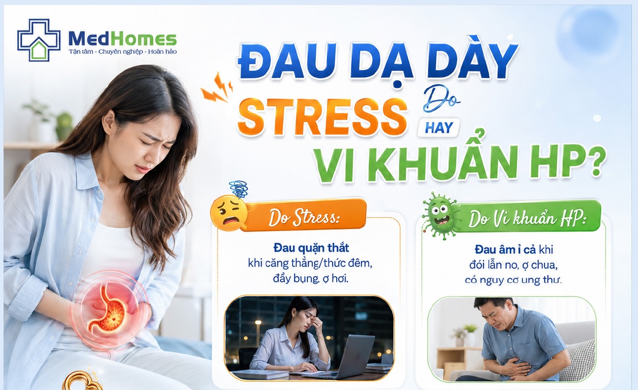  ĐAU DẠ DÀY DO ÁP LỰC CÔNG VIỆC HAY DO VI KHUẨN HP? ĐỪNG CHỦ QUAN MUA NHẦM THUỐC!