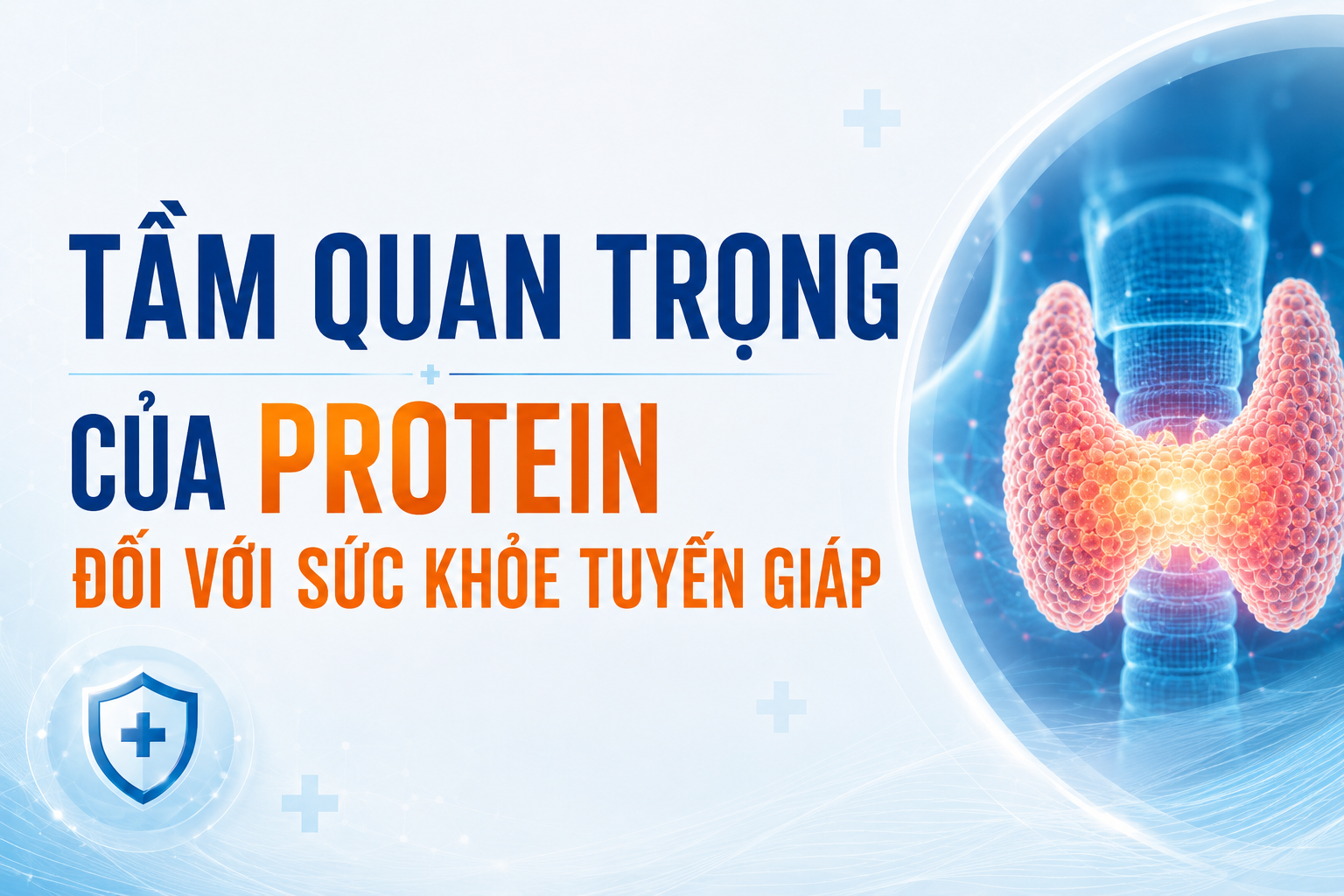  TẦM QUAN TRỌNG CỦA PROTEIN ĐỐI VỚI SỨC KHỎE TUYẾN GIÁP