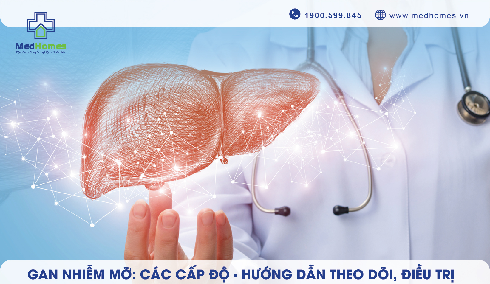 Gan Nhiễm Mỡ: Các Cấp Độ và Hướng Dẫn Theo Dõi, Điều Trị