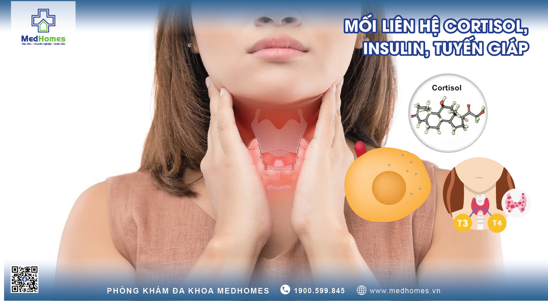 Mối liên hệ Cortisol, Insulin, Tuyến giáp