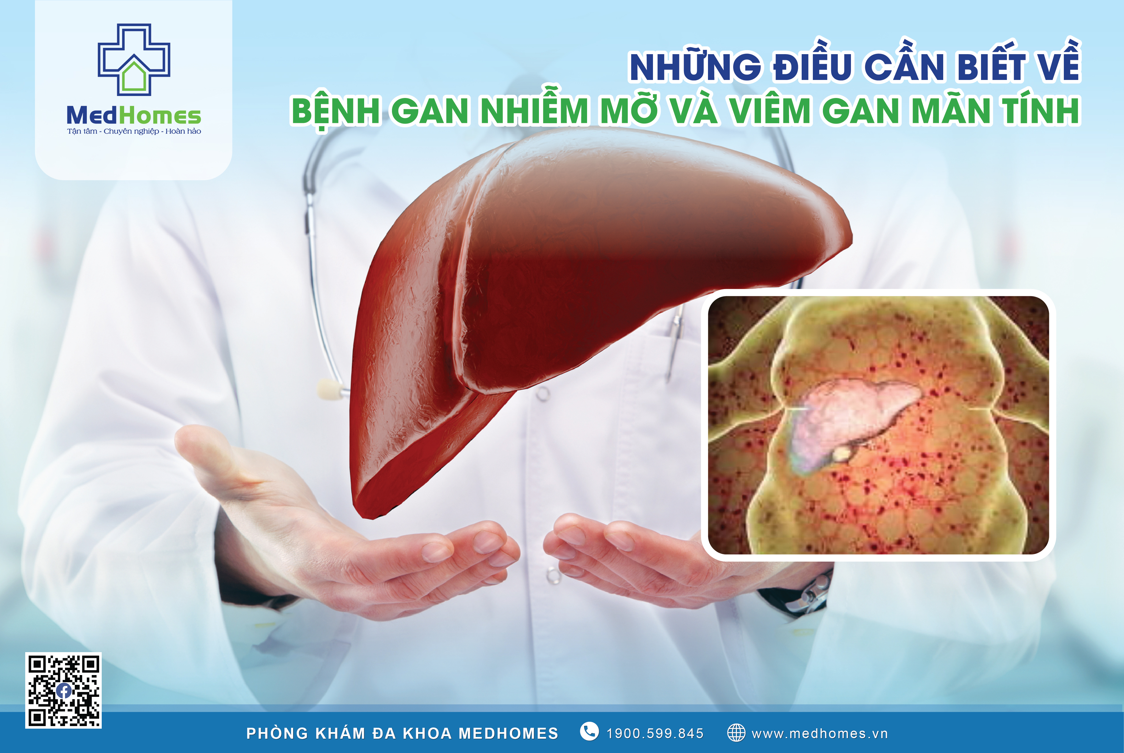 Bệnh Gan Nhiễm Mỡ (NAFLD) và Viêm Gan Mãn Tính: Nguyên Nhân, Triệu Chứng và Điều Trị