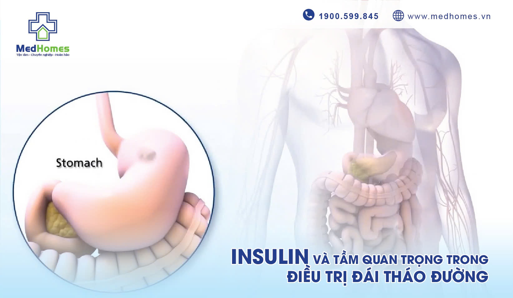 Hiểu về Insulin và Vai Trò Quan Trọng trong Điều Trị Đái Tháo Đường