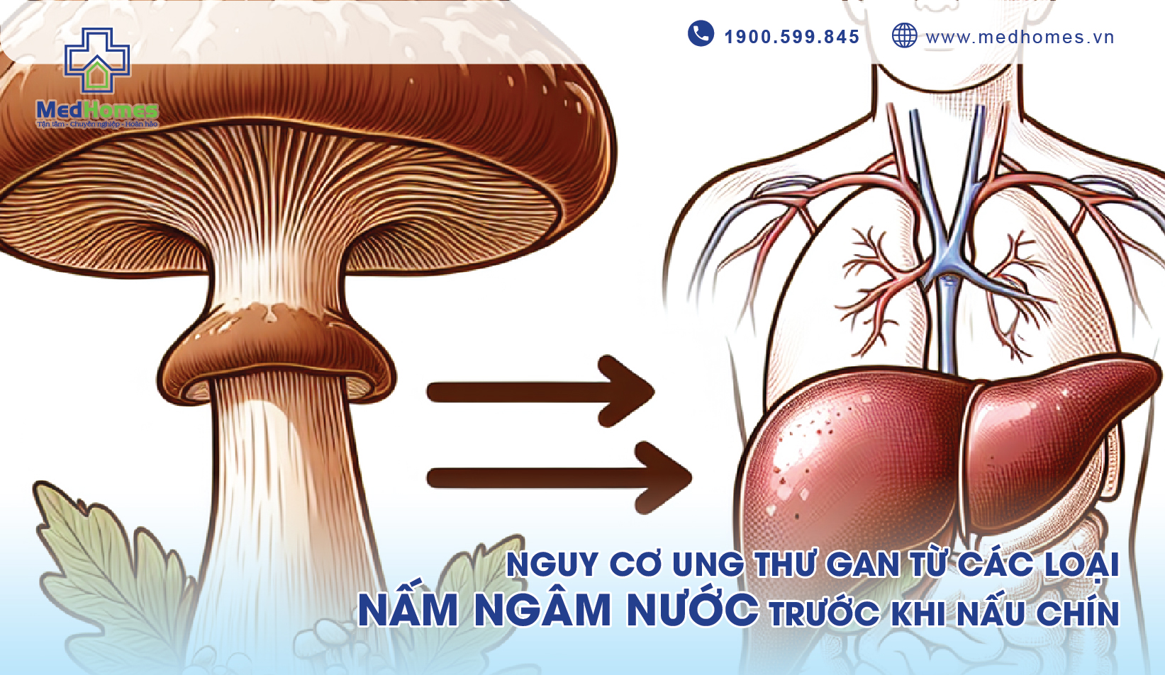 Nguy Cơ Ung Thư Gan Từ Các Loại Nấm Ngâm Nước Trước Khi Nấu Chín