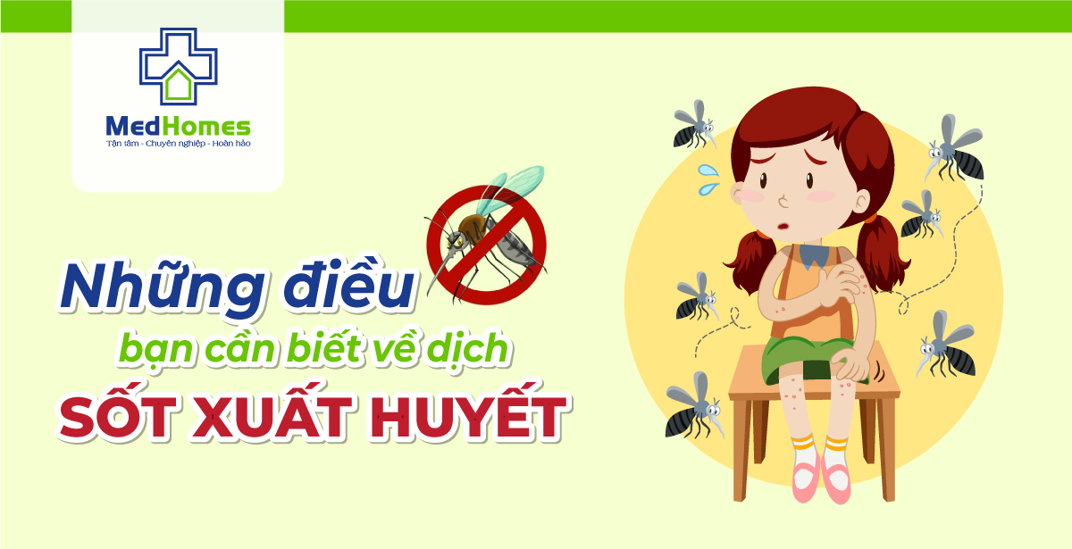Infographic - Những Điều Bạn cần Biết về dịch sốt xuất huyết