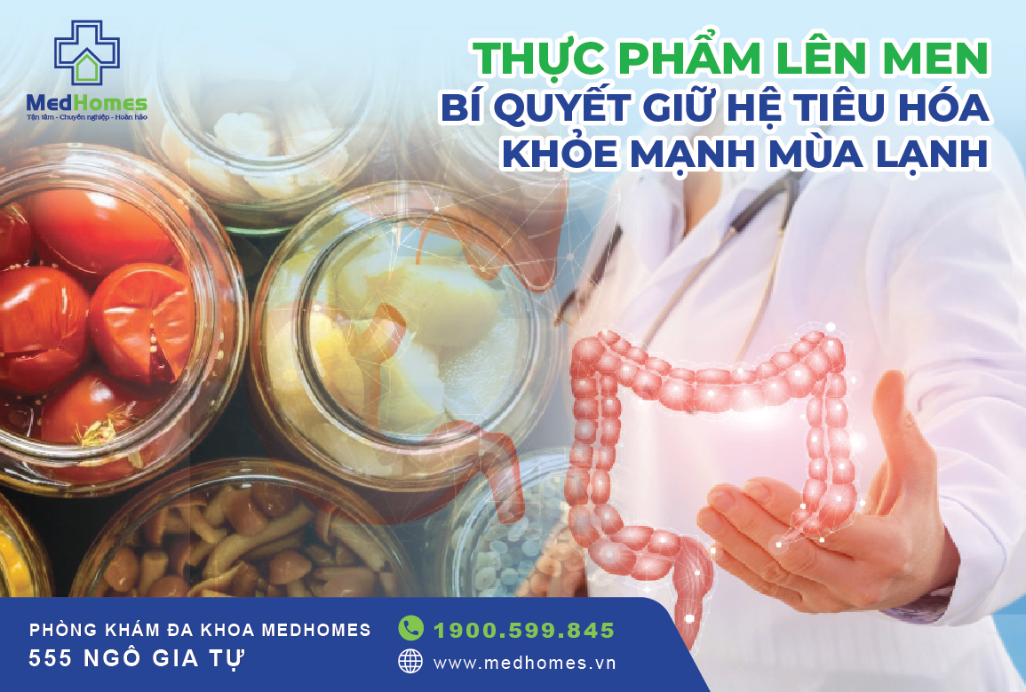 Thực Phẩm Lên Men – Bí Quyết Giữ Hệ Tiêu Hóa Khỏe Mạnh Mùa Lạnh