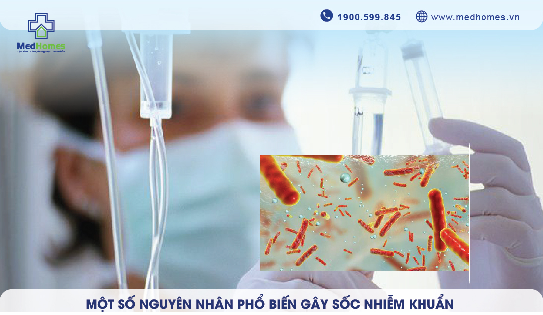 Một số nguyên nhân phổ biến gây sốc nhiễm khuẩn