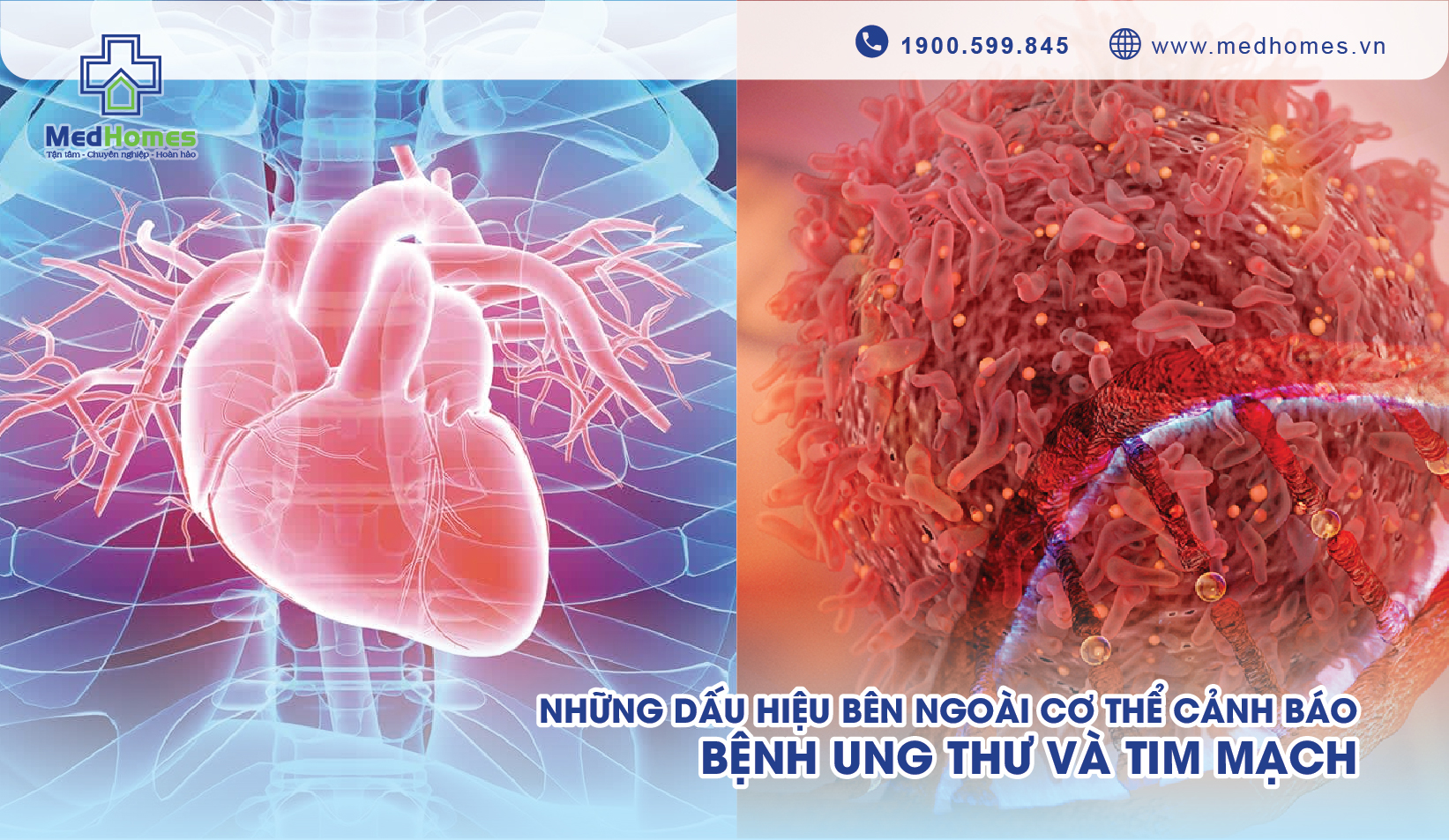 Những Dấu Hiệu Bên Ngoài Cơ Thể Cảnh Báo Bệnh Ung Thư và Tim Mạch