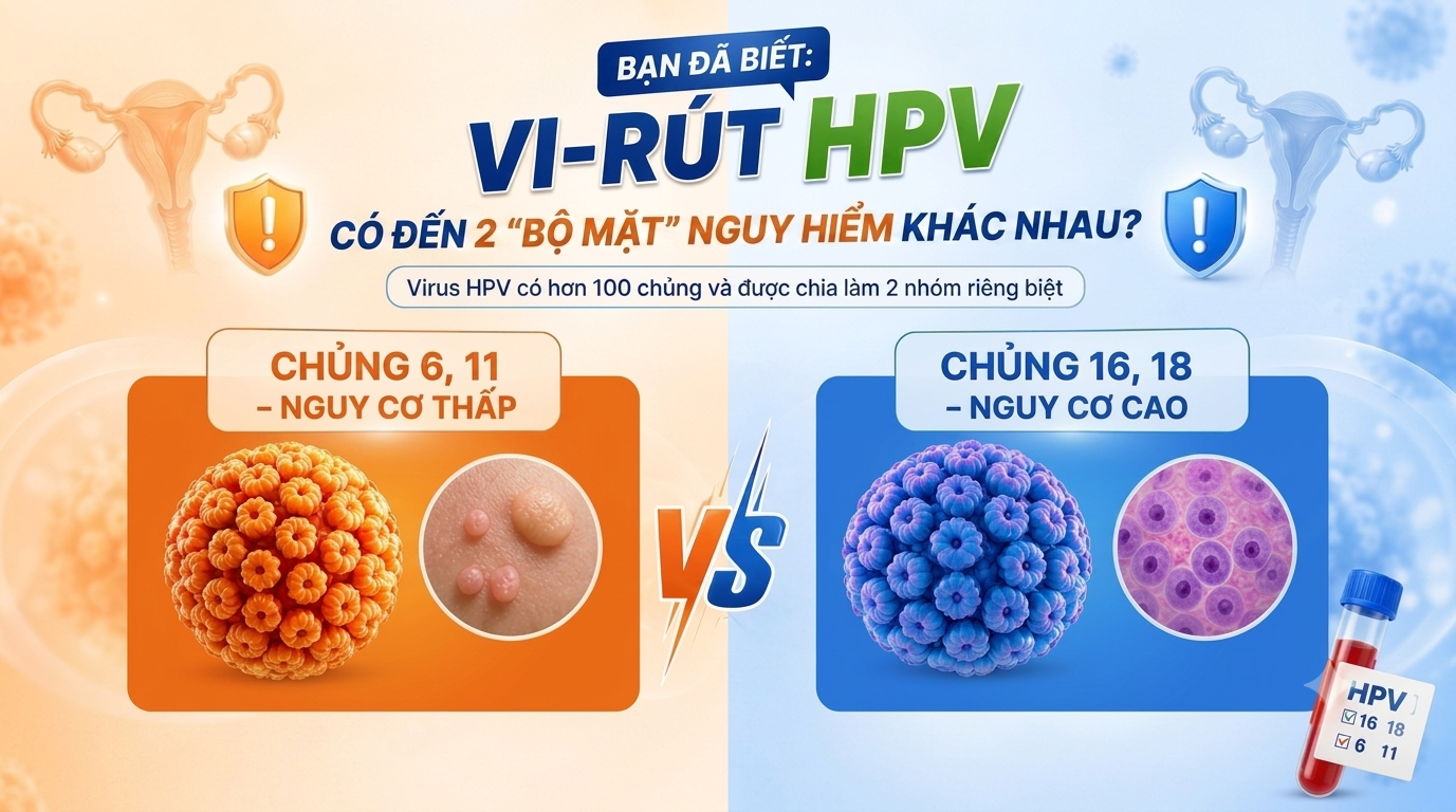 Sự Thật Về Vi-rút HPV: Phân Biệt Nhóm Nguy Cơ Cao Và Nguy Cơ Thấp Để Bảo Vệ Sức Khỏe Toàn Diện